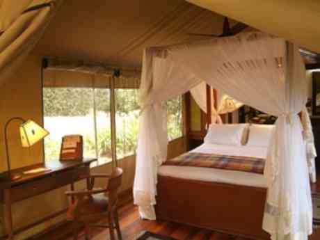 Mara Intrepids Club